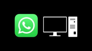 whatsapp web video indirme