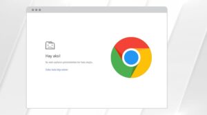 chrome hay aksi hatası