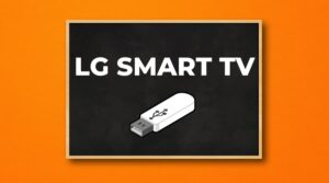 lg tv usb aygıtı desteklenmiyor hatası