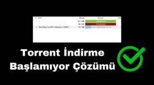 torrent indirme başlamıyor