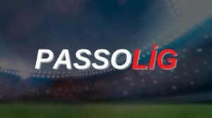 passolig giriş yapamıyorum