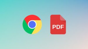 pdf dökümanı yüklenemedi hatası