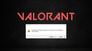 valorant van 9003 hatası