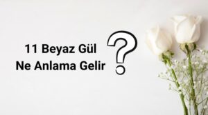 11 beyaz gülün anlamı