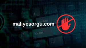 maliyesorgu com nedir