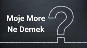 moje more ne demek