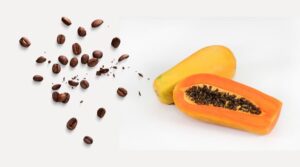 papaya coffee nedir