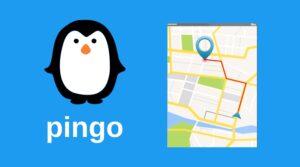 pingo uygulaması nedir