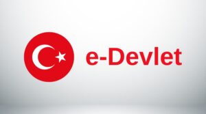 e devlet borçlanmalar servisi hatası