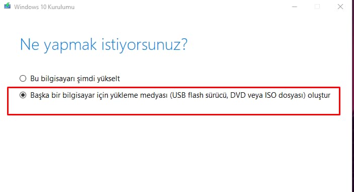 Standart Windows yüklemesi Windows To Go
