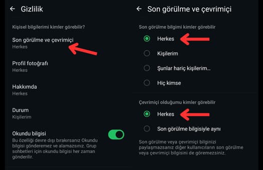 WhatsApp son görülme açık olduğu halde görünmüyor