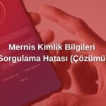 mernis kimlik bilgileri sorgulama hatası